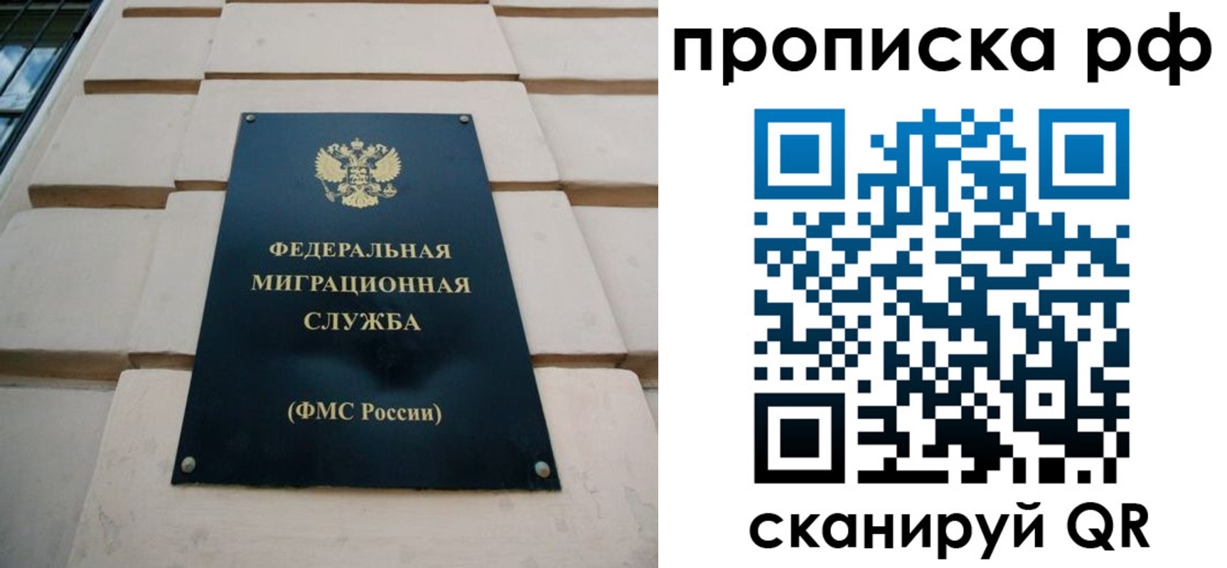 прописка регистрация в Алексеевке
